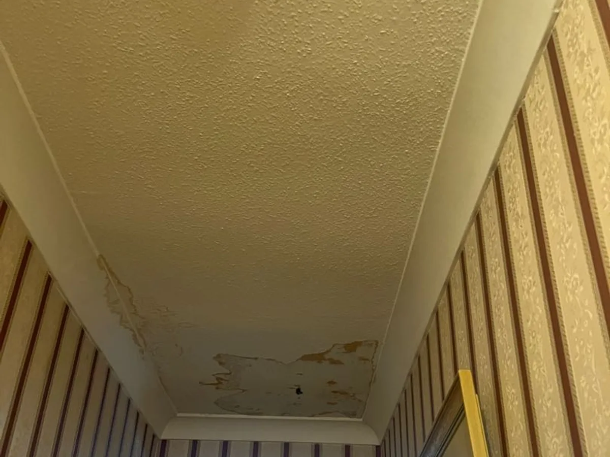 Peeling and water-damaged hallway ceiling at the Kilmarnock property